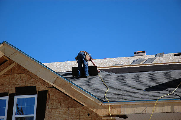 Best Roof Gutter Cleaning  in Rainelle, WV